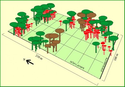 Ứng dụng công nghệ GPS và GIS trong quản lý Đất và bảo tồn Thiên nhiên