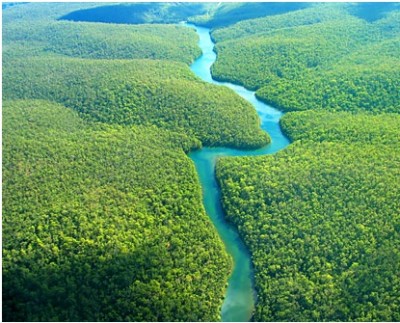Sông Amazone hay sông Nil dài nhất thế giới?